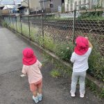 久しぶりのお散歩