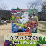 戸外活動